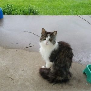 Meet your Posher, Sue